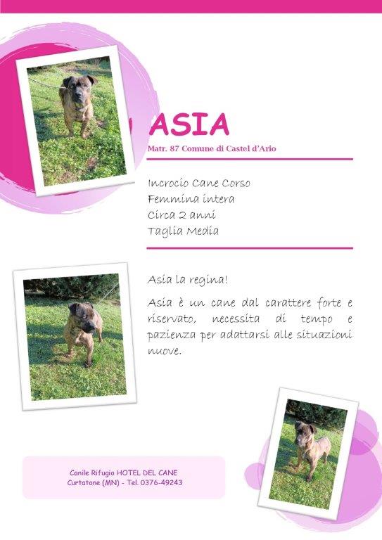 MATR 87 ASIA page 0001